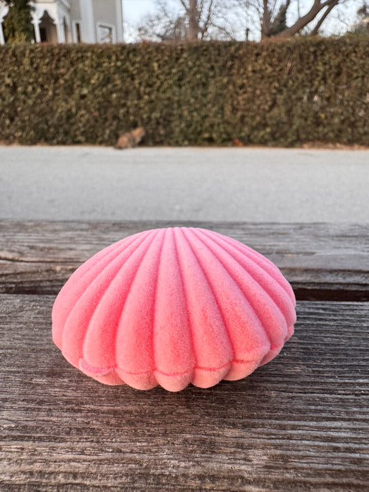 Pink Shell Jewelry Box